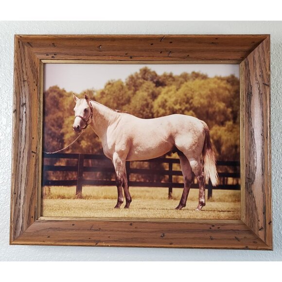 Vintage Thoroughbred Horse Grey Stallion Framed Picture Print - Picture 3 of 6